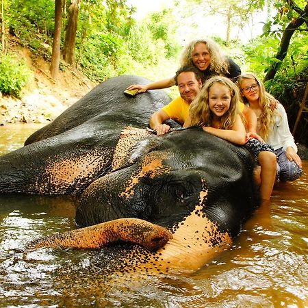 Jungle Village Homestay Піннавала Екстер'єр фото