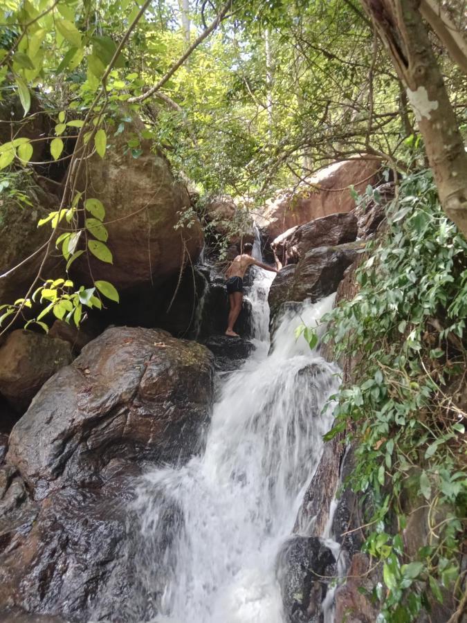 Jungle Village Homestay Піннавала Екстер'єр фото