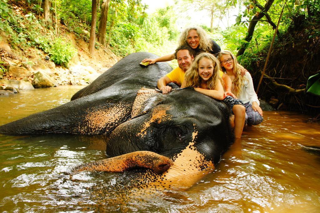 Jungle Village Homestay Піннавала Екстер'єр фото